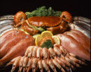 Fish Counter
